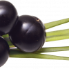 ACAI_png