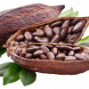 CACAO-PNG