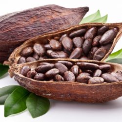 CACAO