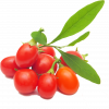 GOJI