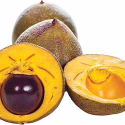 LUCUMA