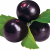 MAQUI_png