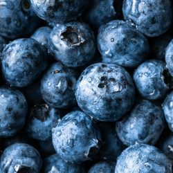 melissa-belanger-usE0kpV_yLo-unsplash